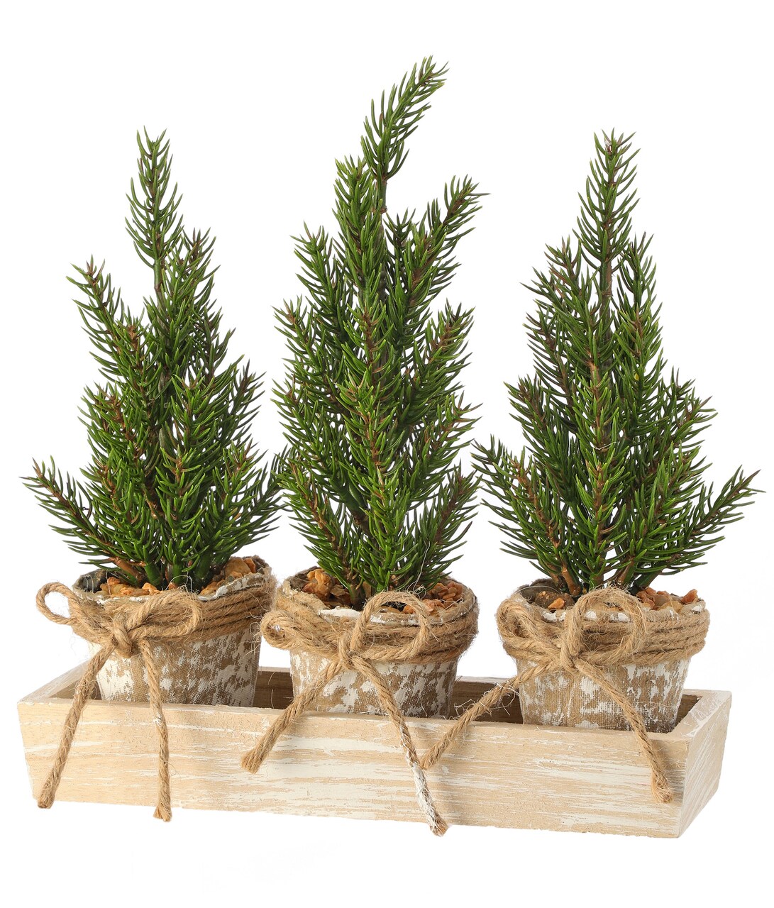 Contemporary Home Living 9" Green and Brown Triple Potted Christmas Pine Tabletop Decoration